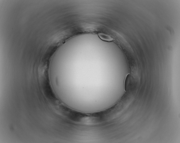 X0000113610364200910091546