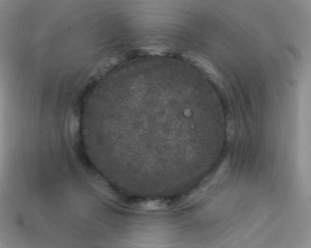 X0000113610365200910091546