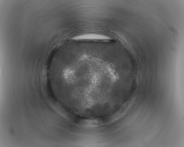 X0000113610366200910091546