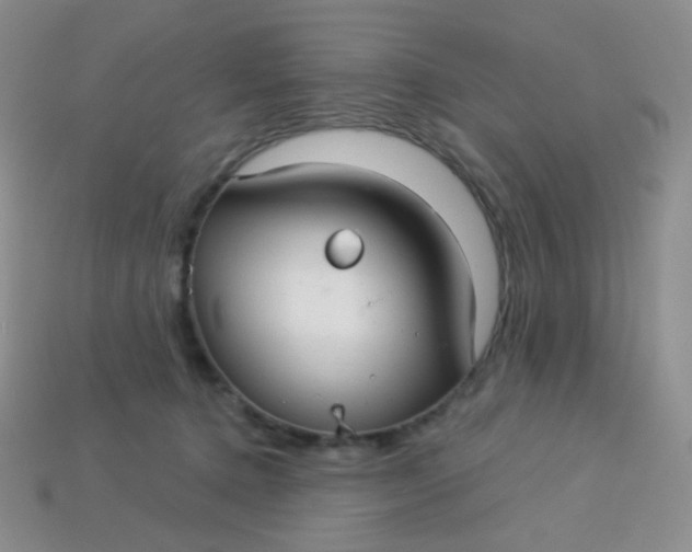 X0000113610368200910091546