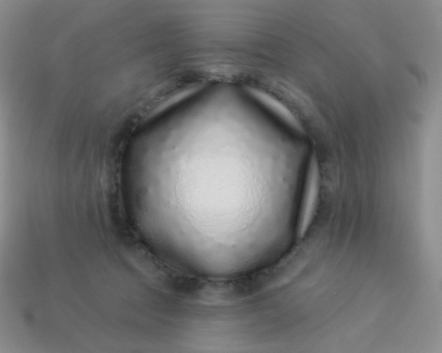 X0000113610369200910091546