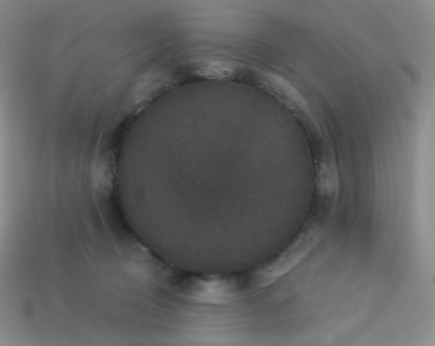 X0000113610370200910091546