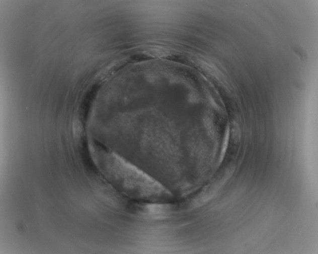 X0000113610371200910091546