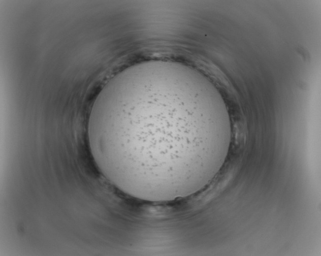 X0000113610372200910091546