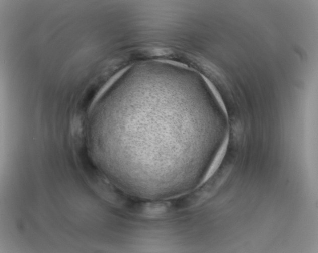 X0000113610373200910091546