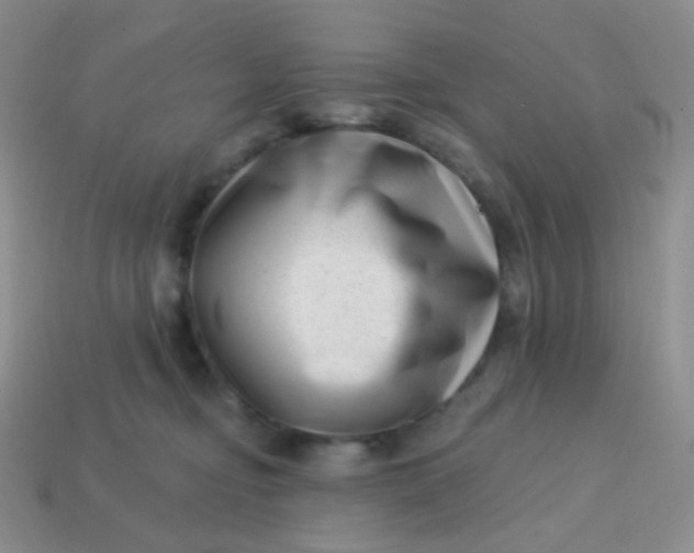 X0000113610374200910091546