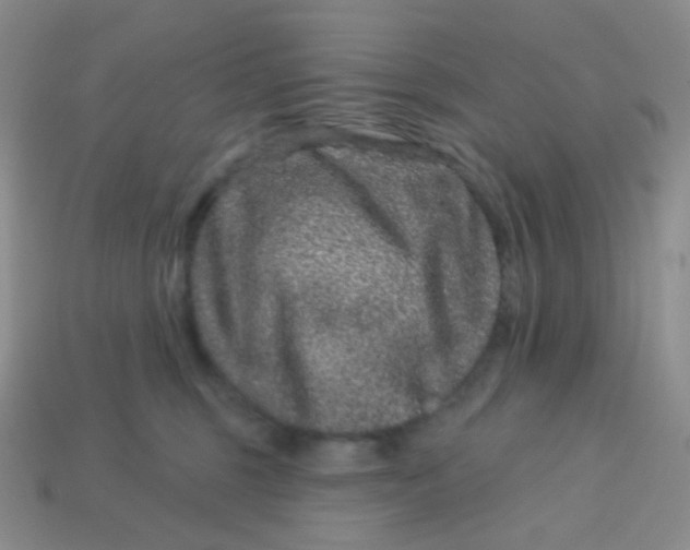 X0000113610375200910091546