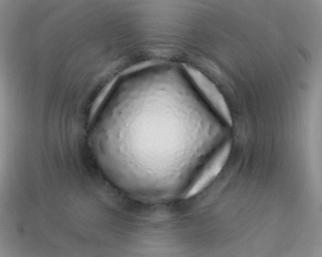 X0000113610377200910091546