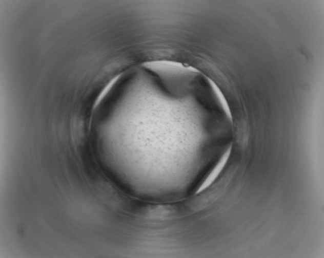 X0000113610378200910091546