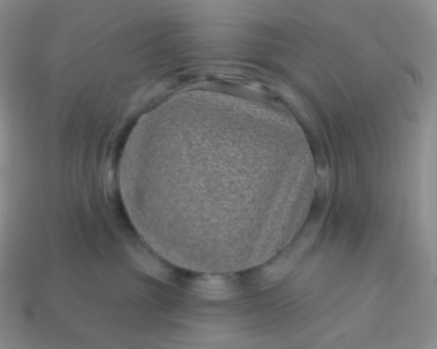 X0000113610381200910091546