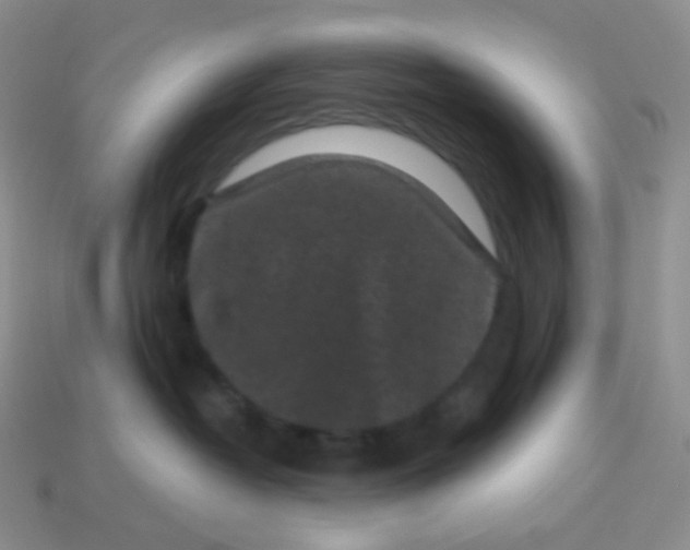 X0000113610382200910091546