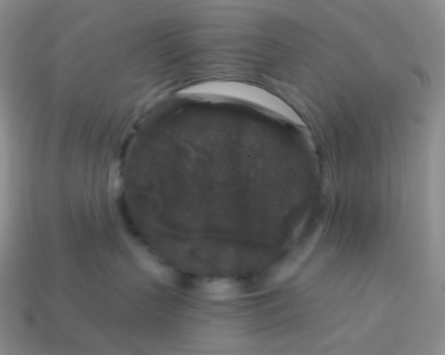 X0000113610383200910091547