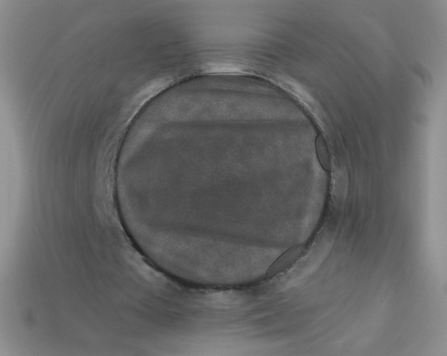 X0000113610385200910091546