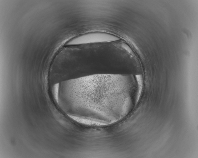 X0000113610386200910091546