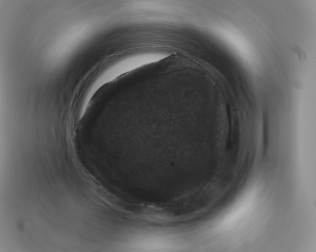 X0000113610387200910091546