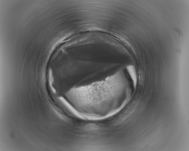 X0000113610390200910091546