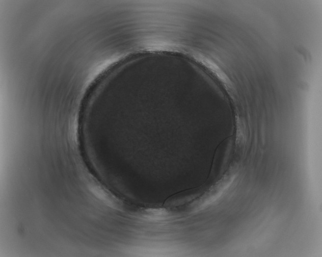 X0000113610391200910091546