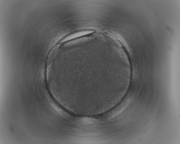 X0000113610393200910091546