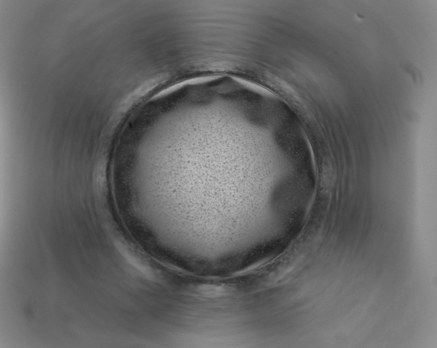 X0000113610394200910091546