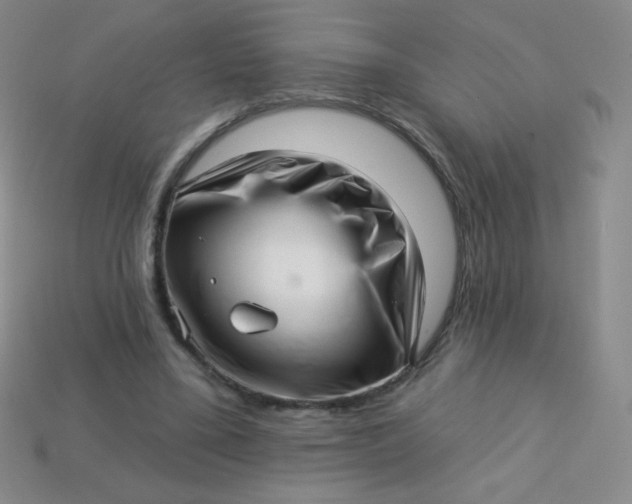 X0000113610395200910091546