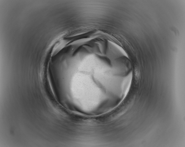 X0000113610396200910091546