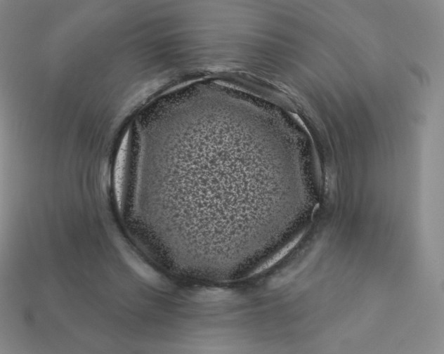 X0000113610397200910091546