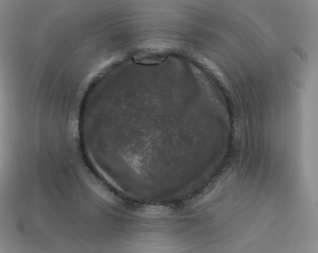 X0000113610399200910091546