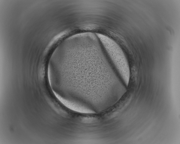 X0000113610400200910091546