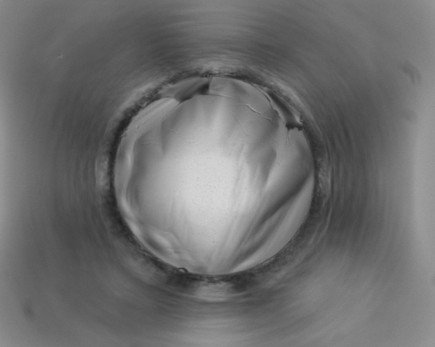 X0000113610403200910091546