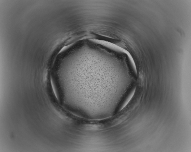 X0000113610404200910091546