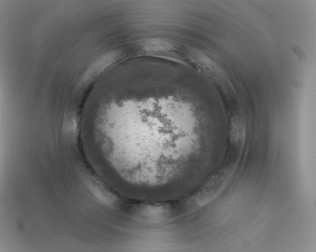 X0000113610405200910091546