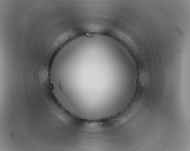 X0000113610407200910091546