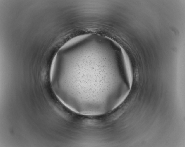 X0000113610408200910091546