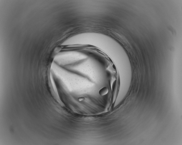 X0000113610409200910091546