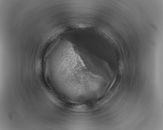 X0000113610410200910091546