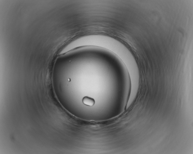 X0000113610411200910091546