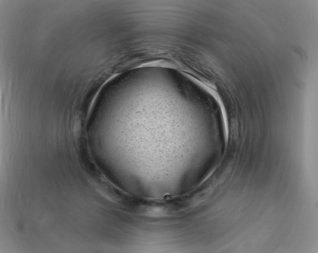 X0000113610412200910091546