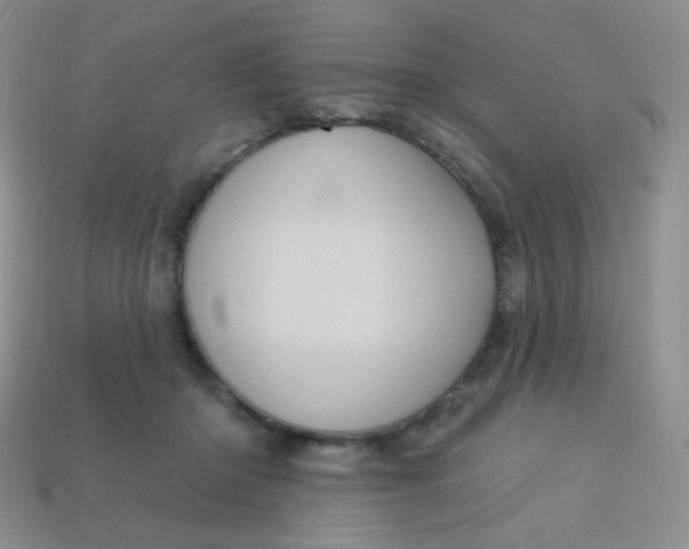 X0000113610414200910091546