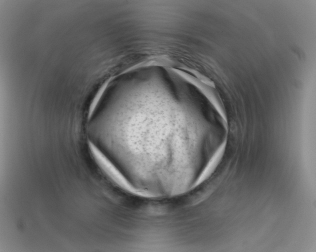 X0000113610416200910091546