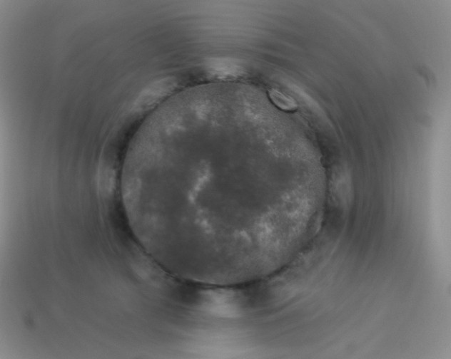 X0000113610417200910091546