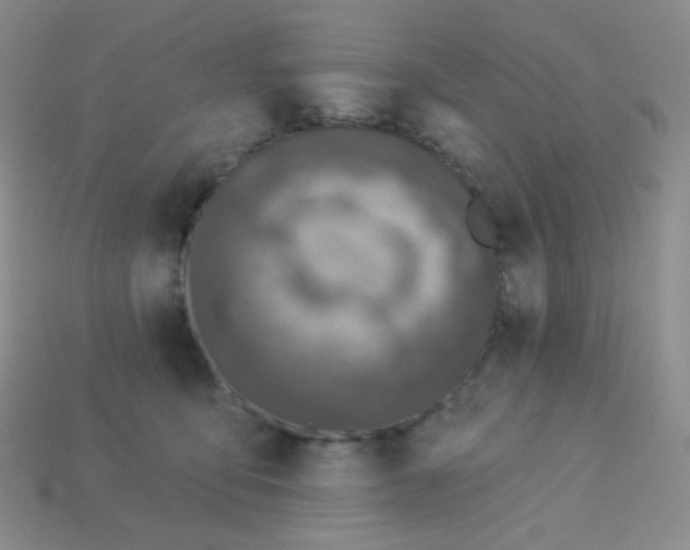 X0000113610419200910091545