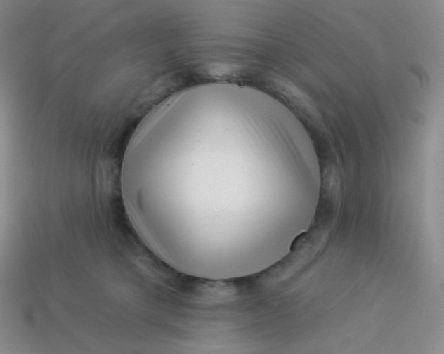 X0000113610421200910091545