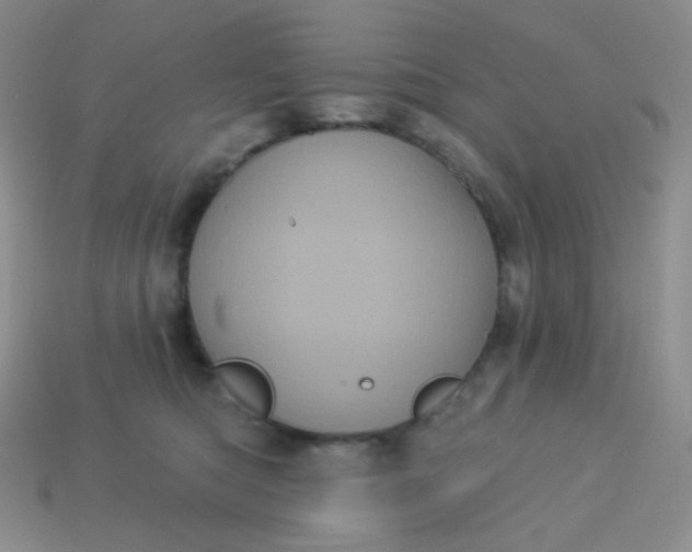 X0000113610422200910091545