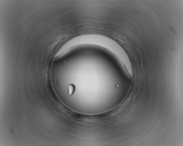 X0000113610423200910091545