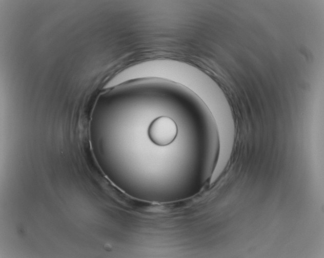 X0000113610425200910091545