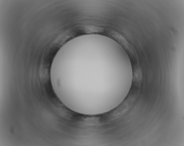 X0000113610426200910091545