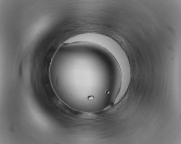 X0000113610429200910091545