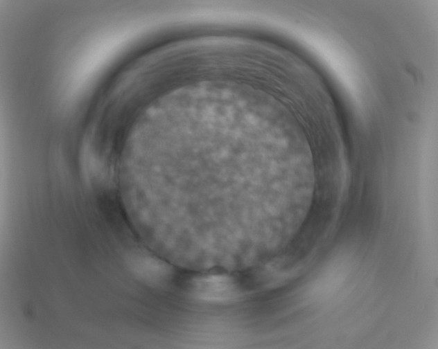 X0000113610431200910091545