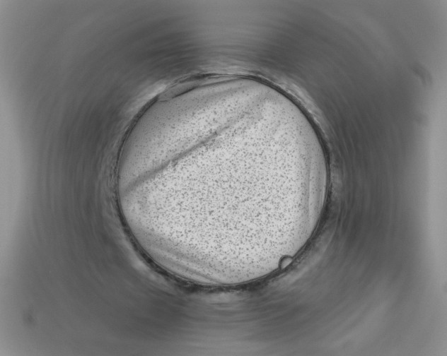 X0000113610433200910091545