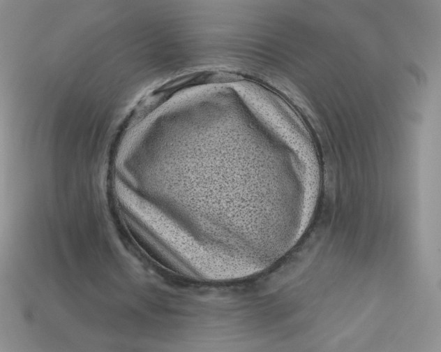 X0000113610434200910091545